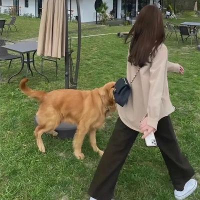 泪痕
